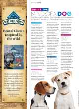 Better Homes & Gardens March 2019 Magazine Article: INSIDE THE MIND OF A DOG
