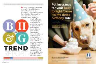 Better Homes & Gardens March 2019 Magazine Article: Page 12