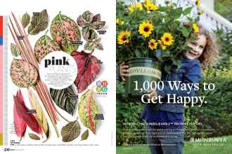 Better Homes & Gardens March 2019 Magazine Article: Page 20