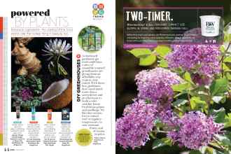 Better Homes & Gardens March 2019 Magazine Article: Page 44