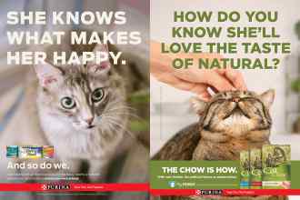 Better Homes & Gardens March 2019 Magazine Article: Page 56