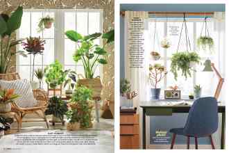 Better Homes & Gardens March 2019 Magazine Article: Page 94