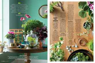 Better Homes & Gardens March 2019 Magazine Article: Page 96