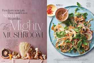 Better Homes & Gardens March 2019 Magazine Article: Page 102