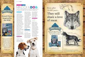 Better Homes & Gardens March 2019 Magazine Article: Page 122