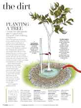 Better Homes & Gardens April 2019 Magazine Article: The dirt