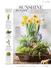 Better Homes & Gardens April 2019 Magazine Article: SUNSHINE in a pot