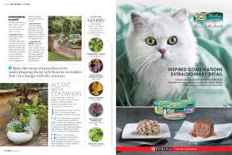 Better Homes & Gardens April 2019 Magazine Article: Page 56