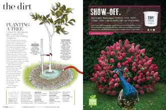 Better Homes & Gardens April 2019 Magazine Article: Page 70