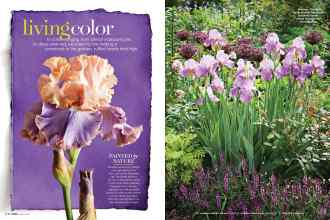 Better Homes & Gardens April 2019 Magazine Article: Living color