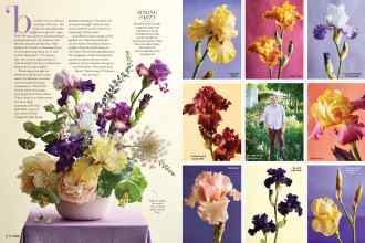 Better Homes & Gardens April 2019 Magazine Article: Page 108