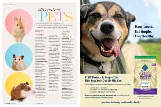 Better Homes & Gardens April 2019 Magazine Article: Page 146