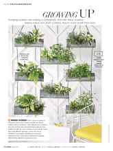 Better Homes & Gardens May 2019 Magazine Article: GROWING UP