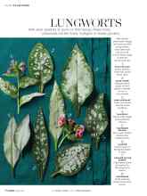Better Homes & Gardens May 2019 Magazine Article: LUNGWORTS