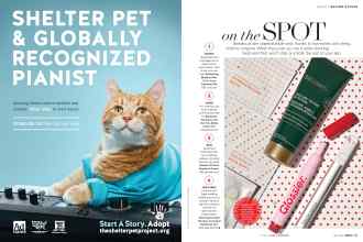 Better Homes & Gardens May 2019 Magazine Article: Page 18