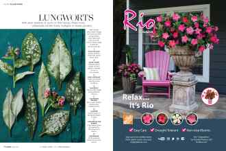 Better Homes & Gardens May 2019 Magazine Article: Page 70