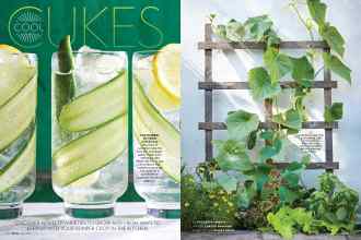 Better Homes & Gardens May 2019 Magazine Article: Page 114