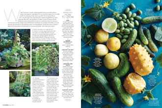 Better Homes & Gardens May 2019 Magazine Article: Page 116