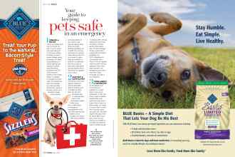 Better Homes & Gardens May 2019 Magazine Article: Page 150