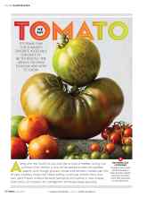 Better Homes & Gardens June 2019 Magazine Article: WE SAY TOMATO