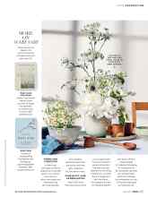 Better Homes & Gardens June 2019 Magazine Article: Page Z5