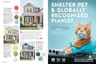 Better Homes & Gardens June 2019 Magazine Article: Page 40