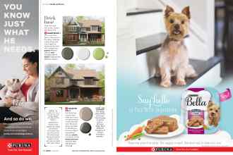 Better Homes & Gardens June 2019 Magazine Article: Page 42