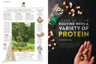 Better Homes & Gardens June 2019 Magazine Article: Page 62