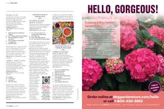 Better Homes & Gardens June 2019 Magazine Article: Page 122