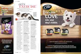 Better Homes & Gardens June 2019 Magazine Article: Page 146