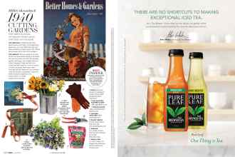 Better Homes & Gardens June 2019 Magazine Article: Page 148