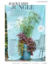 Better Homes & Gardens July 2019 Magazine Article: BACKYARD JUNGLE