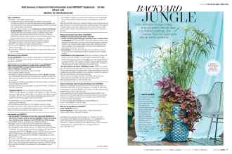 Better Homes & Gardens July 2019 Magazine Article: Page 56