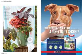 Better Homes & Gardens July 2019 Magazine Article: Page 58