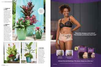 Better Homes & Gardens July 2019 Magazine Article: Page 60
