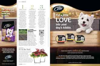Better Homes & Gardens July 2019 Magazine Article: Page 68