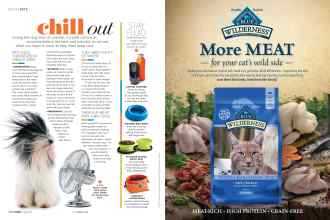 Better Homes & Gardens July 2019 Magazine Article: Page 122