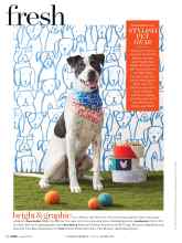 Better Homes & Gardens August 2019 Magazine Article: OBSESSED WITH STYLISH PET GEAR
