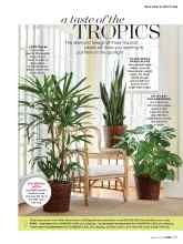 Better Homes & Gardens August 2019 Magazine Article: A taste of the TROPICS