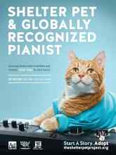 Better Homes & Gardens August 2019 Magazine Article: Page Z2