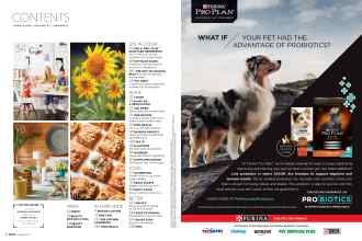 Better Homes & Gardens August 2019 Magazine Article: Page 6