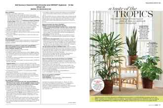 Better Homes & Gardens August 2019 Magazine Article: Page 54