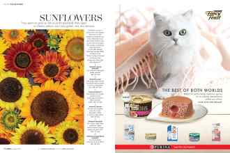 Better Homes & Gardens August 2019 Magazine Article: Page 56