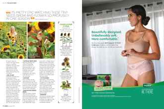 Better Homes & Gardens August 2019 Magazine Article: Page 58