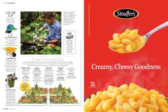 Better Homes & Gardens August 2019 Magazine Article: Page 62