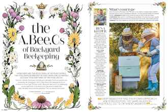 Better Homes & Gardens August 2019 Magazine Article: The A, Bee, Cs of Backyard Beekeeping