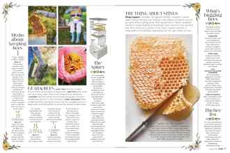 Better Homes & Gardens August 2019 Magazine Article: Page 96