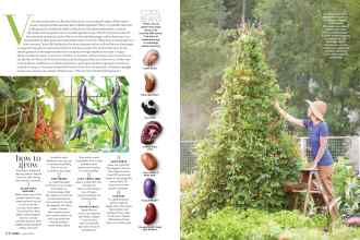 Better Homes & Gardens August 2019 Magazine Article: Page 106