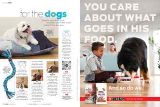 Better Homes & Gardens August 2019 Magazine Article: Page 138