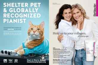 Better Homes & Gardens September 2019 Magazine Article: Page 46